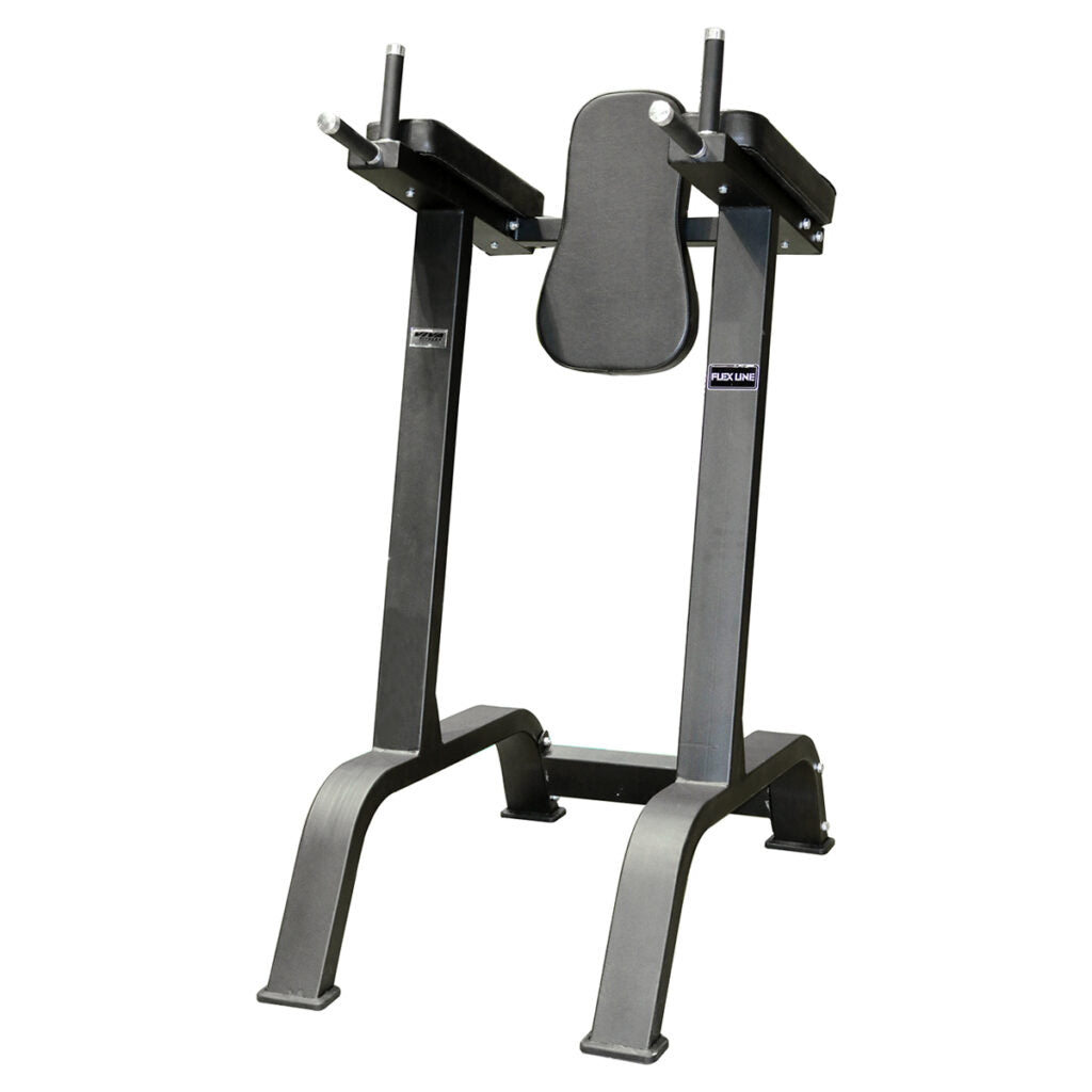 Efit  Vertical Knee Raise / Dip Stand
